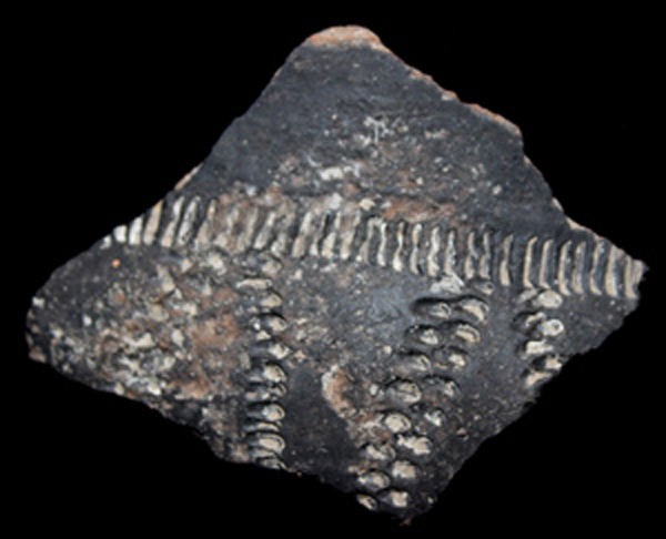 Black-burnished ware, Flagon fragment, 1st-3rd Cent